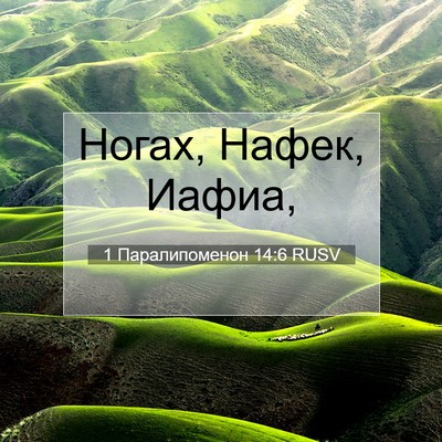 Picture 07 - 1 Паралипоменон 14:6 RUSV - Ногах, Нафек, - Bible Verse Picture