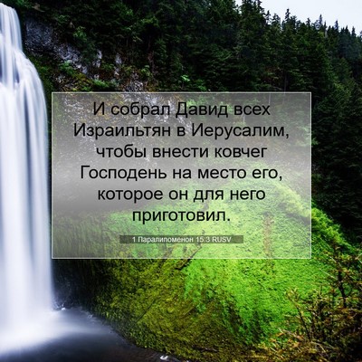 Picture 07 - 1 Паралипоменон 15:3 RUSV - И собрал Давид всех - Bible Verse Picture