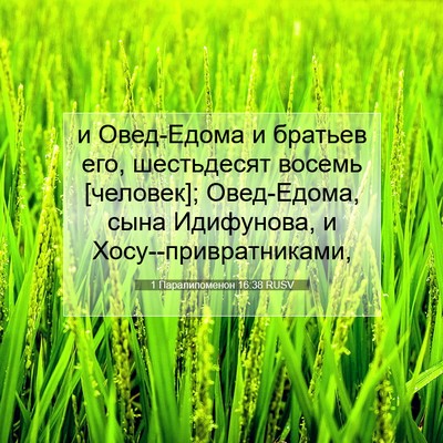 Picture 07 - 1 Паралипоменон 16:38 RUSV - и Овед-Едома и братьев его, - Bible Verse Picture