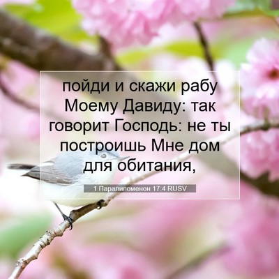 Picture 07 - 1 Паралипоменон 17:4 RUSV - пойди и скажи рабу Моему - Bible Verse Picture