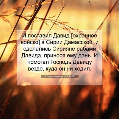 Picture 07 - 1 Паралипоменон 18:6 RUSV - И поставил Давид [охранное - Bible Verse Picture