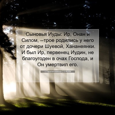 Picture 07 - 1 Паралипоменон 2:3 RUSV - Сыновья Иуды: Ир, Онан и - Bible Verse Picture