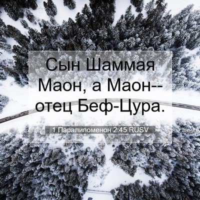 Picture 07 - 1 Паралипоменон 2:45 RUSV - Сын Шаммая Маон, а - Bible Verse Picture