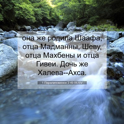 Picture 07 - 1 Паралипоменон 2:49 RUSV - она же родила Шаафа, отца - Bible Verse Picture