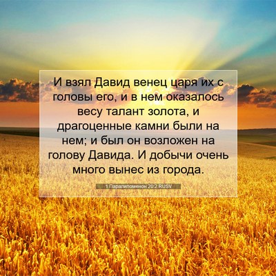 Picture 07 - 1 Паралипоменон 20:2 RUSV - И взял Давид венец царя их - Bible Verse Picture