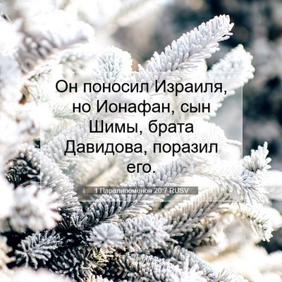 Picture 07 - 1 Паралипоменон 20:7 RUSV - Он поносил Израиля, но - Bible Verse Picture