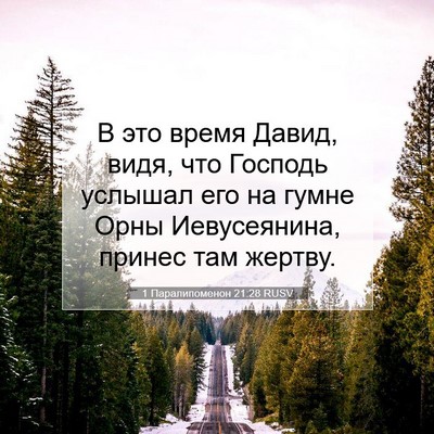 Picture 07 - 1 Паралипоменон 21:28 RUSV - В это время Давид, видя, что - Bible Verse Picture