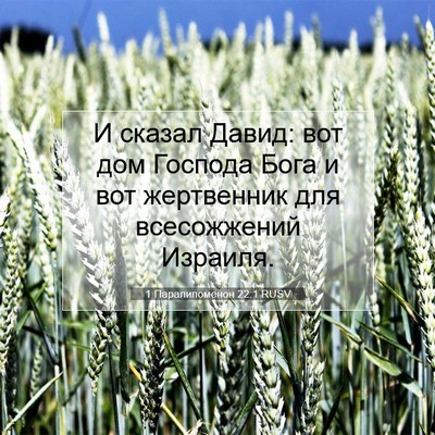 Picture 07 - 1 Паралипоменон 22:1 RUSV - И сказал Давид: вот дом - Bible Verse Picture
