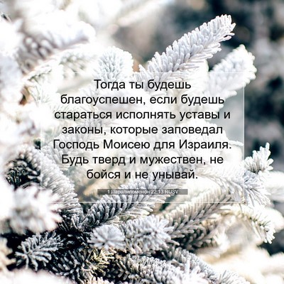 Picture 07 - 1 Паралипоменон 22:13 RUSV - Тогда ты будешь - Bible Verse Picture