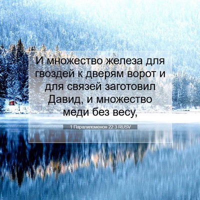 Picture 07 - 1 Паралипоменон 22:3 RUSV - И множество железа для - Bible Verse Picture