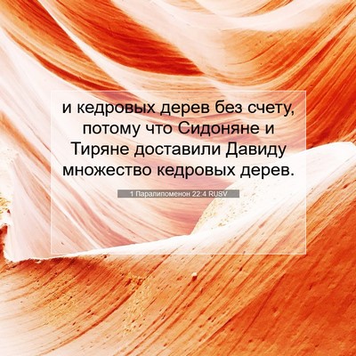 Picture 07 - 1 Паралипоменон 22:4 RUSV - и кедровых дерев без счету, - Bible Verse Picture