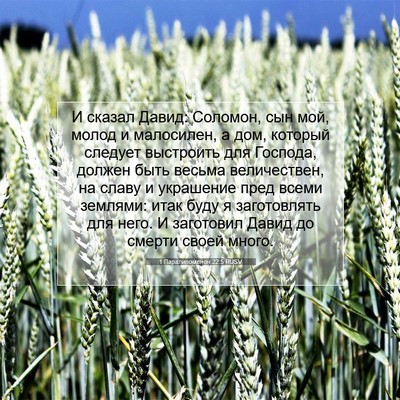 Picture 07 - 1 Паралипоменон 22:5 RUSV - И сказал Давид: Соломон, - Bible Verse Picture