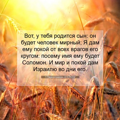 Picture 07 - 1 Паралипоменон 22:9 RUSV - Вот, у тебя родится сын: он - Bible Verse Picture
