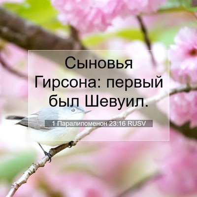 Picture 07 - 1 Паралипоменон 23:16 RUSV - Сыновья Гирсона: первый - Bible Verse Picture