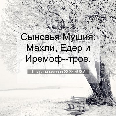 Picture 07 - 1 Паралипоменон 23:23 RUSV - Сыновья Мушия: Махли, Едер - Bible Verse Picture