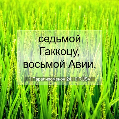 Picture 07 - 1 Паралипоменон 24:10 RUSV - седьмой Гаккоцу, восьмой - Bible Verse Picture