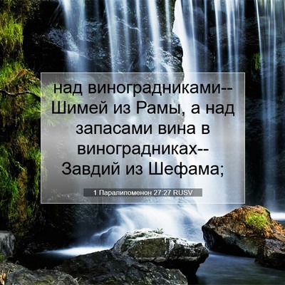 Picture 07 - 1 Паралипоменон 27:27 RUSV - над виноградниками--Шимей - Bible Verse Picture