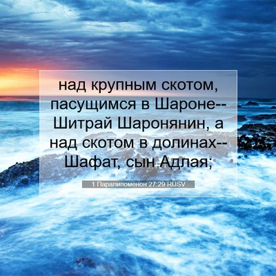 Picture 07 - 1 Паралипоменон 27:29 RUSV - над крупным скотом, - Bible Verse Picture