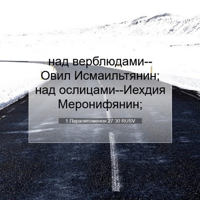Picture 07 - 1 Паралипоменон 27:30 RUSV - над верблюдами--Овил - Bible Verse Picture