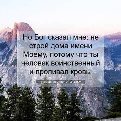 Picture 07 - 1 Паралипоменон 28:3 RUSV - Но Бог сказал мне: не строй - Bible Verse Picture