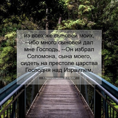 Picture 07 - 1 Паралипоменон 28:5 RUSV - из всех же сыновей моих, - Bible Verse Picture