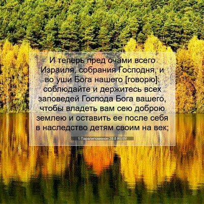 Picture 07 - 1 Паралипоменон 28:8 RUSV - И теперь пред очами всего - Bible Verse Picture