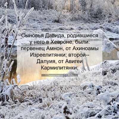 Picture 07 - 1 Паралипоменон 3:1 RUSV - Сыновья Давида, родившиеся - Bible Verse Picture