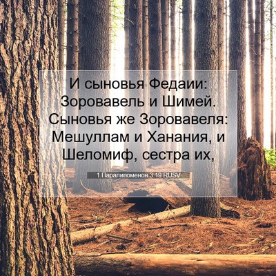 Picture 07 - 1 Паралипоменон 3:19 RUSV - И сыновья Федаии: - Bible Verse Picture
