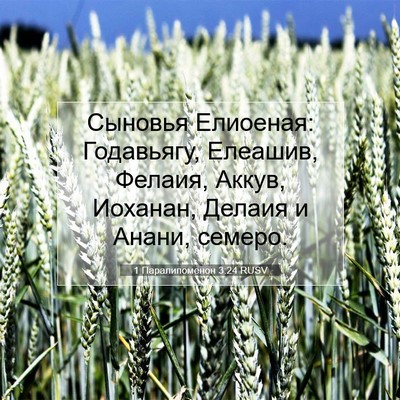 Picture 07 - 1 Паралипоменон 3:24 RUSV - Сыновья Елиоеная: - Bible Verse Picture