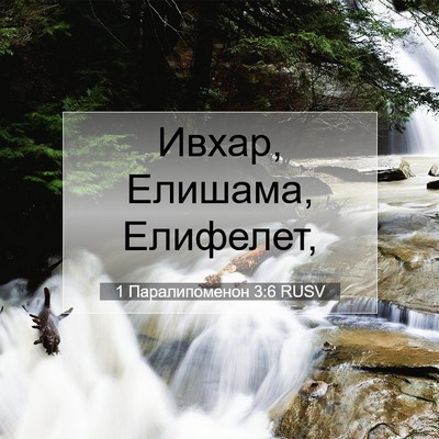 Picture 07 - 1 Паралипоменон 3:6 RUSV - Ивхар, Елишама, - Bible Verse Picture