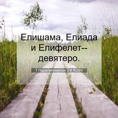 Picture 07 - 1 Паралипоменон 3:8 RUSV - Елишама, Елиада и - Bible Verse Picture