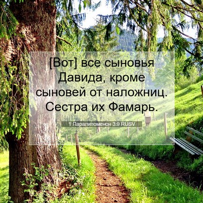 Picture 07 - 1 Паралипоменон 3:9 RUSV - [Вот] все сыновья Давида, - Bible Verse Picture
