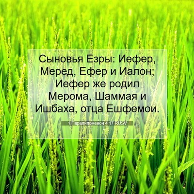 Picture 07 - 1 Паралипоменон 4:17 RUSV - Сыновья Езры: Иефер, Меред, - Bible Verse Picture