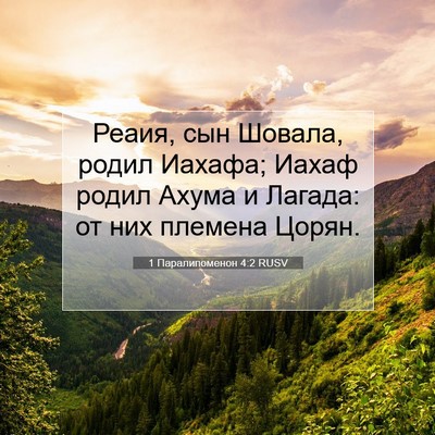 Picture 07 - 1 Паралипоменон 4:2 RUSV - Реаия, сын Шовала, родил - Bible Verse Picture
