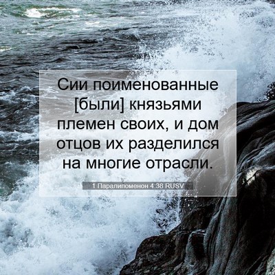 Picture 07 - 1 Паралипоменон 4:38 RUSV - Сии поименованные [были] - Bible Verse Picture