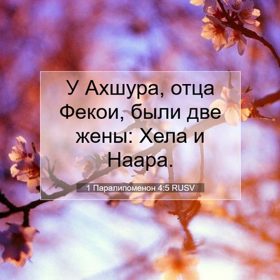 Picture 07 - 1 Паралипоменон 4:5 RUSV - У Ахшура, отца Фекои, были - Bible Verse Picture
