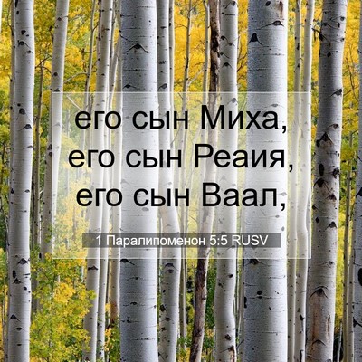 Picture 07 - 1 Паралипоменон 5:5 RUSV - его сын Миха, его сын Реаия, - Bible Verse Picture