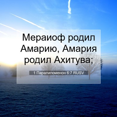Picture 07 - 1 Паралипоменон 6:7 RUSV - Мераиоф родил Амарию, - Bible Verse Picture