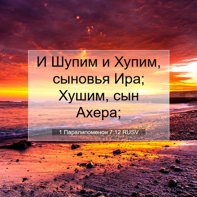 Picture 07 - 1 Паралипоменон 7:12 RUSV - И Шупим и Хупим, сыновья - Bible Verse Picture