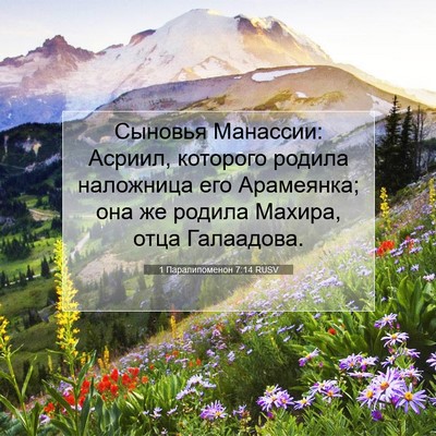 Picture 07 - 1 Паралипоменон 7:14 RUSV - Сыновья Манассии: Асриил, - Bible Verse Picture