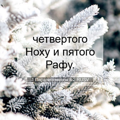 Picture 07 - 1 Паралипоменон 8:2 RUSV - четвертого Ноху и пятого - Bible Verse Picture