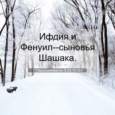 Picture 07 - 1 Паралипоменон 8:25 RUSV - Ифдия и Фенуил--сыновья - Bible Verse Picture