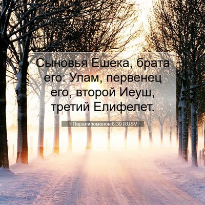 Picture 07 - 1 Паралипоменон 8:39 RUSV - Сыновья Ешека, брата его: - Bible Verse Picture