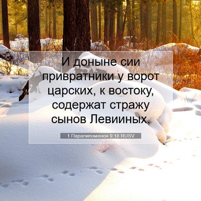 Picture 07 - 1 Паралипоменон 9:18 RUSV - И доныне сии привратники у - Bible Verse Picture