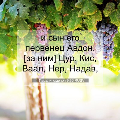 Picture 07 - 1 Паралипоменон 9:36 RUSV - и сын его первенец Авдон, - Bible Verse Picture