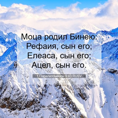 Picture 07 - 1 Паралипоменон 9:43 RUSV - Моца родил Бинею: Рефаия, - Bible Verse Picture