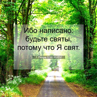 Picture 07 - 1 Петра 1:16 RUSV - Ибо написано: будьте святы, - Bible Verse Picture