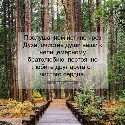 Picture 07 - 1 Петра 1:22 RUSV - Послушанием истине чрез - Bible Verse Picture