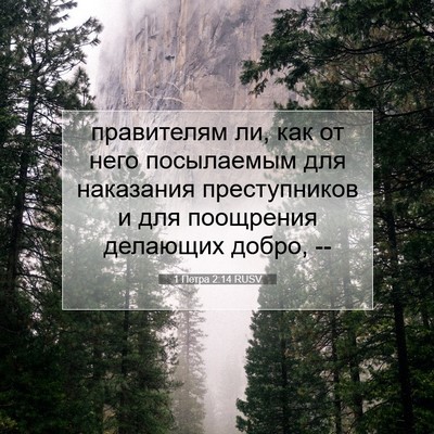 Picture 07 - 1 Петра 2:14 RUSV - правителям ли, как от него - Bible Verse Picture
