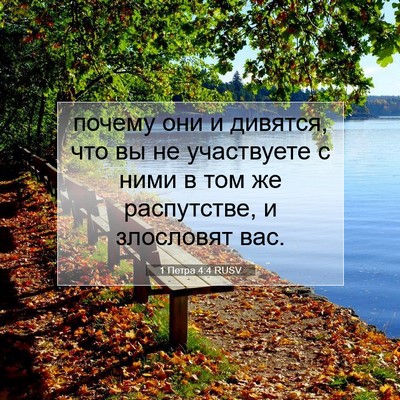 Picture 07 - 1 Петра 4:4 RUSV - почему они и дивятся, что - Bible Verse Picture